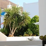 Reppas House 